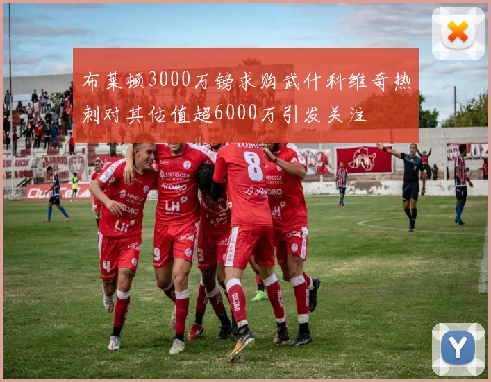 布莱顿3000万镑求购武什科维奇热刺对其估值超6000万引发关注