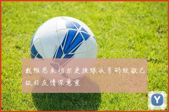 戴维恩米切尔更换球衣号码致敬已故好友情深意重